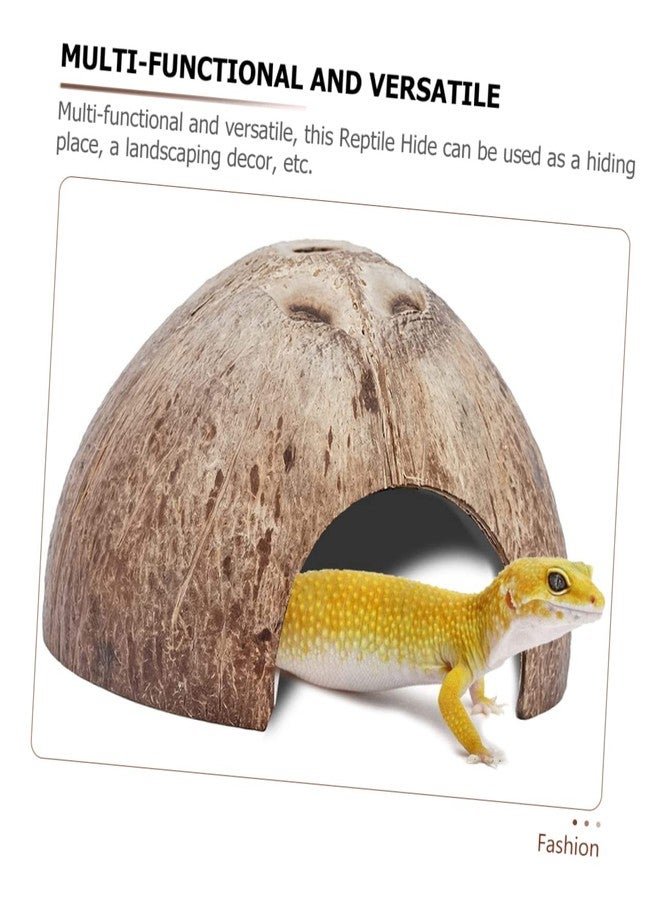 مسكن سلحفاة روسية من الراتنج، ديكور مخبأ للزواحف، مناسب لأحواض الحيوانات الأليفة الصغيرة. - Image 5